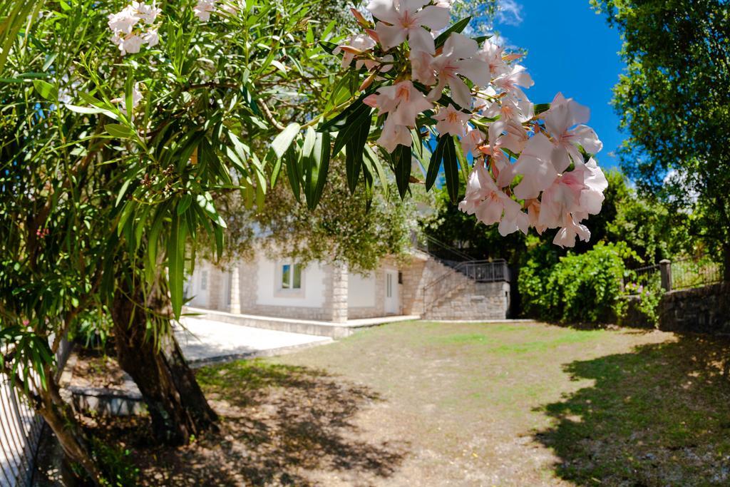 Olive Tree Villa ヘルツェグ・ノヴィ エクステリア 写真